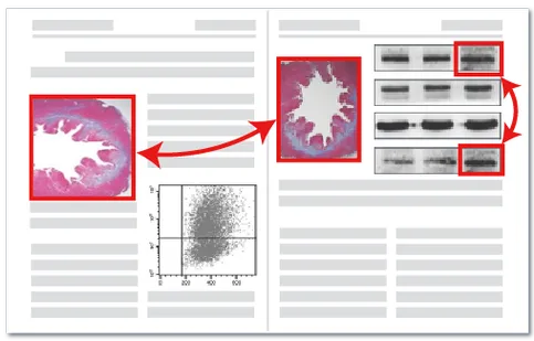 课题组内部质控