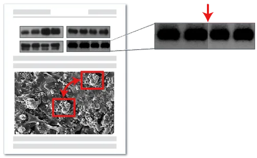 图片操作检测原理