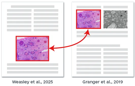 SCI期刊投稿前检查